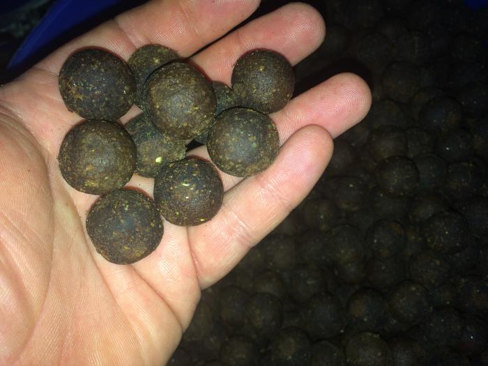 maincarp-baits Mussel GLM deluxe Boilies 25kg 20mm od. 26mm